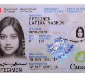 Buy Canadian ID card