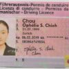 Buy Swiss driver license